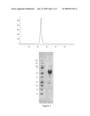 Activin-actriia antagonists and uses for treating or preventing breast cancer diagram and image