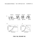 FcGammaRIIB Specific Antibodies and Methods of Use Thereof diagram and image