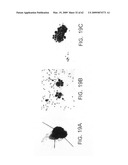 FcGammaRIIB Specific Antibodies and Methods of Use Thereof diagram and image