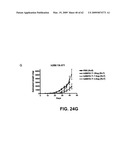 FcGammaRIIB Specific Antibodies and Methods of Use Thereof diagram and image