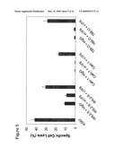 Anti-CD70 Antibody and Its Use for the Treatment of Cancer and Immune Disorders diagram and image