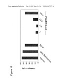 Anti-CD70 Antibody and Its Use for the Treatment of Cancer and Immune Disorders diagram and image