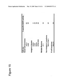 Anti-CD70 Antibody and Its Use for the Treatment of Cancer and Immune Disorders diagram and image