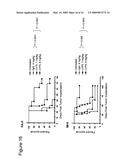 Anti-CD70 Antibody and Its Use for the Treatment of Cancer and Immune Disorders diagram and image