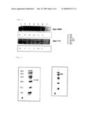 CANCER VACCINE diagram and image