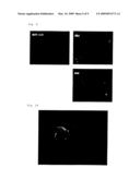 CANCER VACCINE diagram and image