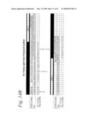 METHODS OF MODIFYING ANTIBODIES, AND MODIFIED ANTIBODIES WITH IMPROVED FUNCTIONAL PROPERTIES diagram and image