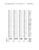 Dengue virus peptide vaccine and methods of preparing and using the same diagram and image