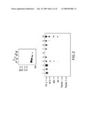 HYPOALLERGENIC ALLERGY VACCINES BASED ON THE TIMOTHY GRASS POLLEN ALLERGEN PHL P 7 diagram and image