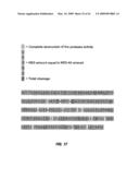 IMMUNOGEN PLATFORM diagram and image