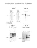 Yeast-based Therapeutic for Chronic Hepatitis C Infection diagram and image