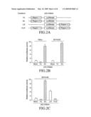 Cancer-suppressing agents diagram and image