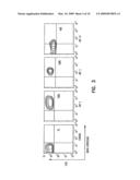 Alteration of cell membrane for new functions diagram and image