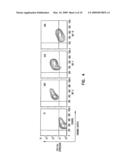 Alteration of cell membrane for new functions diagram and image