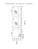 Alteration of cell membrane for new functions diagram and image