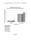 COMBRETUM LAURIFOLIUM MART. EXTRACT AND METHODS OF EXTRACTING AND USING SUCH EXTRACT diagram and image