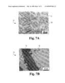 METHOD FOR TOUGHENING VIA THE PRODUCTION OF SPIRAL ARCHITECTURES THROUGH POWDER LOADED POLYMERIC EXTRUSION AND TOUGHENED MATERIALS FORMED THEREBY diagram and image