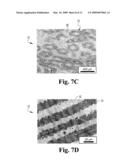 METHOD FOR TOUGHENING VIA THE PRODUCTION OF SPIRAL ARCHITECTURES THROUGH POWDER LOADED POLYMERIC EXTRUSION AND TOUGHENED MATERIALS FORMED THEREBY diagram and image