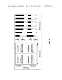 SYSTEM AND METHOD FOR QUANTIFYING STUDENT S SCIENTIFIC PROBLEM SOLVING EFFICIENCY AND EFFECTIVENESS diagram and image