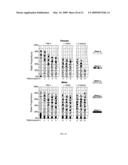 SYSTEM AND METHOD FOR QUANTIFYING STUDENT S SCIENTIFIC PROBLEM SOLVING EFFICIENCY AND EFFECTIVENESS diagram and image