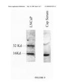 Androgen regulated nucleic acid molecules and encoded proteins diagram and image