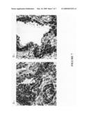 Androgen regulated nucleic acid molecules and encoded proteins diagram and image