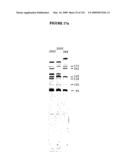 Nucleic Acid Accessible Hybridization Site Identification Using Mass Spectrometry diagram and image