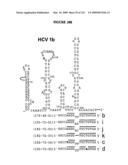 Nucleic Acid Accessible Hybridization Site Identification Using Mass Spectrometry diagram and image