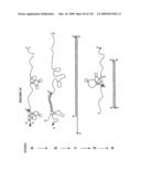 Nucleic Acid Accessible Hybridization Site Identification Using Mass Spectrometry diagram and image