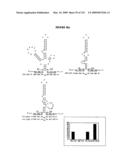 Nucleic Acid Accessible Hybridization Site Identification Using Mass Spectrometry diagram and image