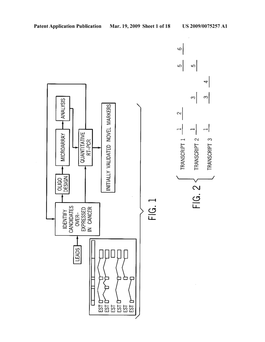 NOVEL NUCLEIC ACID SEQUENCES AND METHODS OF USE THEREOF FOR DIAGNOSIS - diagram, schematic, and image 02