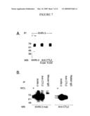 Antigenic Targets Of Autoimmune Sensorineural Hearing Loss (AISNHL) And Development Of Tests For Diagnosis And Management Of AISNHL diagram and image