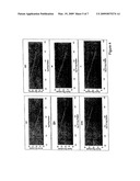 MULTIPLEXED QUANTITATIVE DETECTION OF PATHOGENS diagram and image