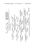 High throughput mutation screening methods and kits using a universalized approach - differential sequence fill-in (dsf)-enabled sequential adapter ligation and amplification diagram and image