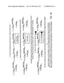 High throughput mutation screening methods and kits using a universalized approach - differential sequence fill-in (dsf)-enabled sequential adapter ligation and amplification diagram and image