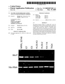 Vectors and Methods for Cloning Gene Clusters or Portions Thereof diagram and image