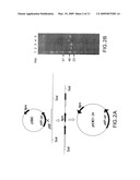 Vectors and Methods for Cloning Gene Clusters or Portions Thereof diagram and image