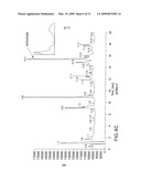 Vectors and Methods for Cloning Gene Clusters or Portions Thereof diagram and image