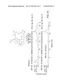 Vectors and Methods for Cloning Gene Clusters or Portions Thereof diagram and image