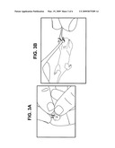 Collection Assembly for Obtaining Oral Samples From an Animal diagram and image