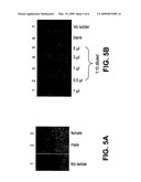 Collection Assembly for Obtaining Oral Samples From an Animal diagram and image