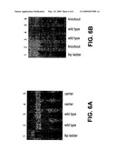 Collection Assembly for Obtaining Oral Samples From an Animal diagram and image