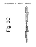 Split protein fragments, split protein systems, methods of making split protein systems, and methods of using split protein systems diagram and image