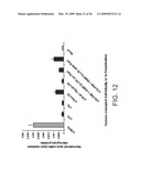 Split protein fragments, split protein systems, methods of making split protein systems, and methods of using split protein systems diagram and image