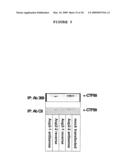 Alzheimer s Disease Secretase, APP Substrates Therefor and Uses Therefor diagram and image