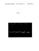 Reduced Genome E. Coli diagram and image