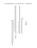 POLYPEPTIDES, THEIR PRODUCTION AND USE diagram and image