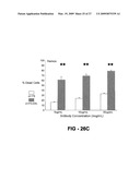 AUTOPHILIC ANTIBODIES diagram and image