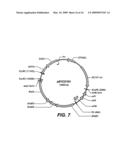 Production of Bacterial Strains Cross Reference To Related Applications diagram and image