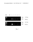 SYSTEM FOR IDENTIFYING AND ANALYZING EXPRESSION OF ARE-CONTAINING GENES diagram and image